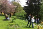 Zahrada u Památníku Josefa Suka - Křečovice